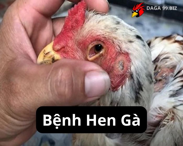 Bệnh Hen Gà