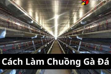 Cách Làm Chuồng Gà Đá