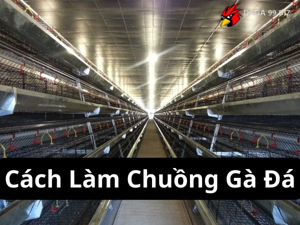 Cách Làm Chuồng Gà Đá