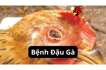 Bệnh đậu gà