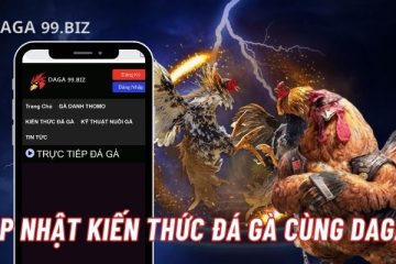 Kiến thức đá gà Daga99